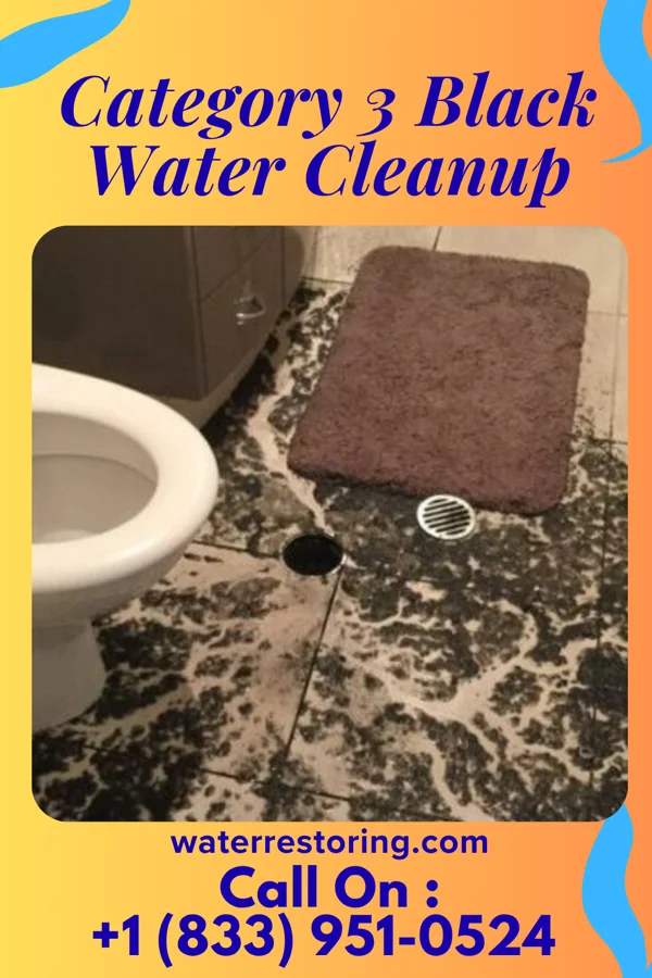 Category 3 Black Water Cleanup in Carolina Beach, NC