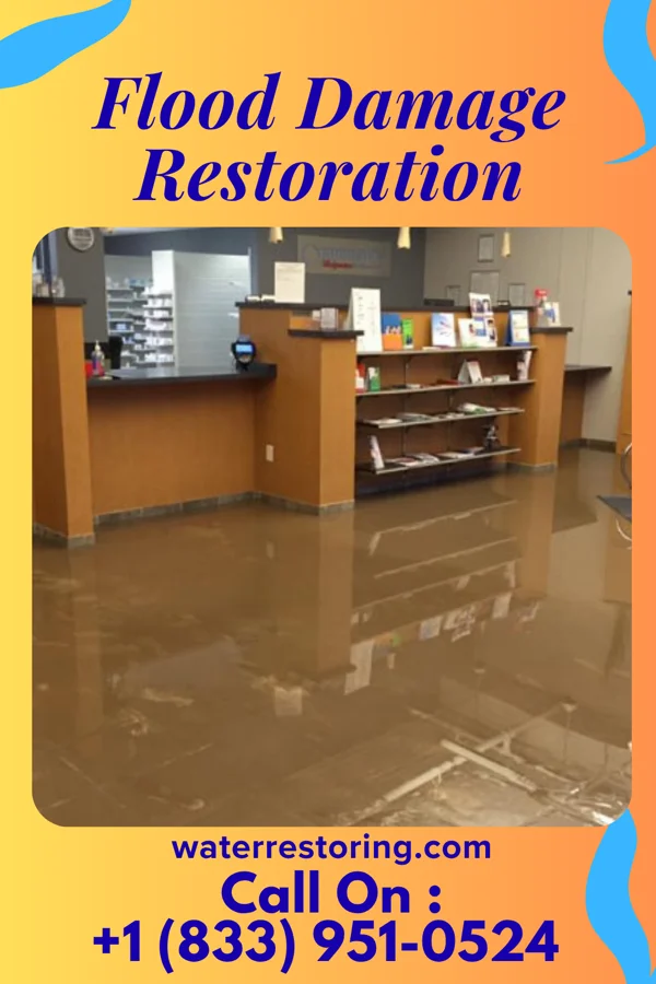 Flood Damage Restoration in Carolina Beach, NC