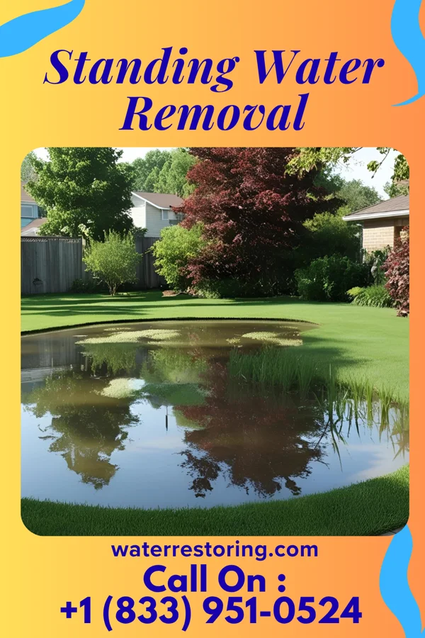 Standing Water Removal in Carolina Beach, NC
